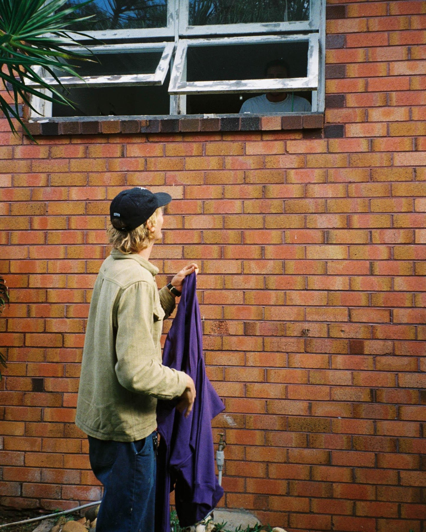 BULL HOOD (Purple)
